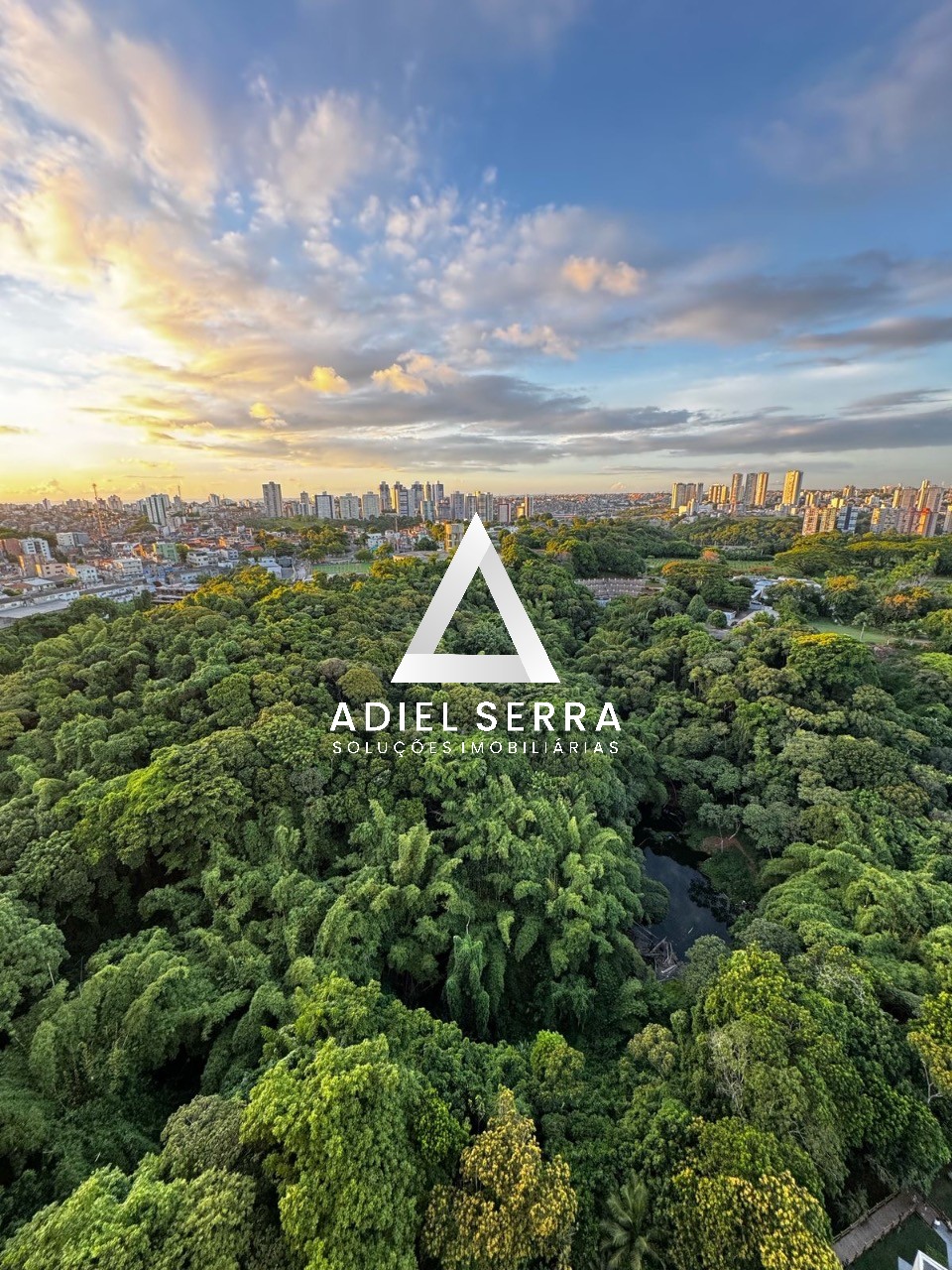 Apartamento - Parque bela vista