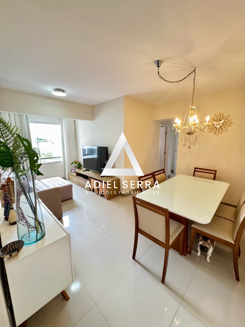 Apartamento - Armação