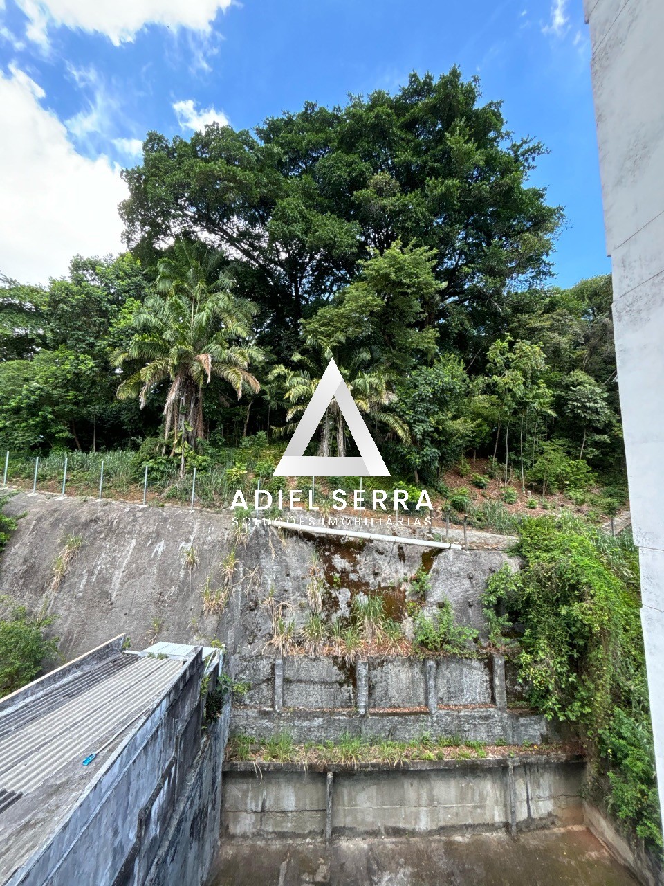 Apartamento - Barra