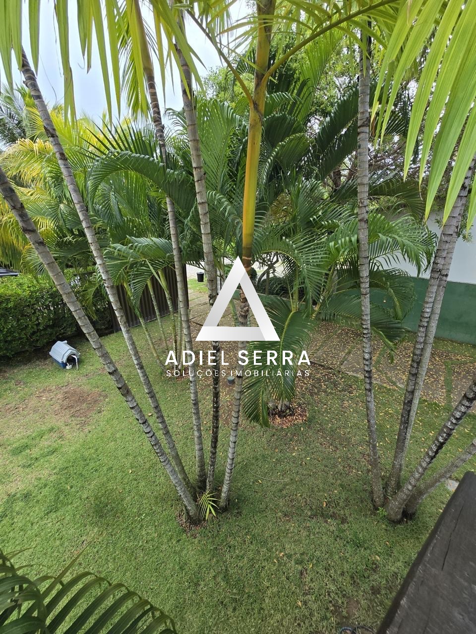 Casa - Catu de abrantes (abrantes)
