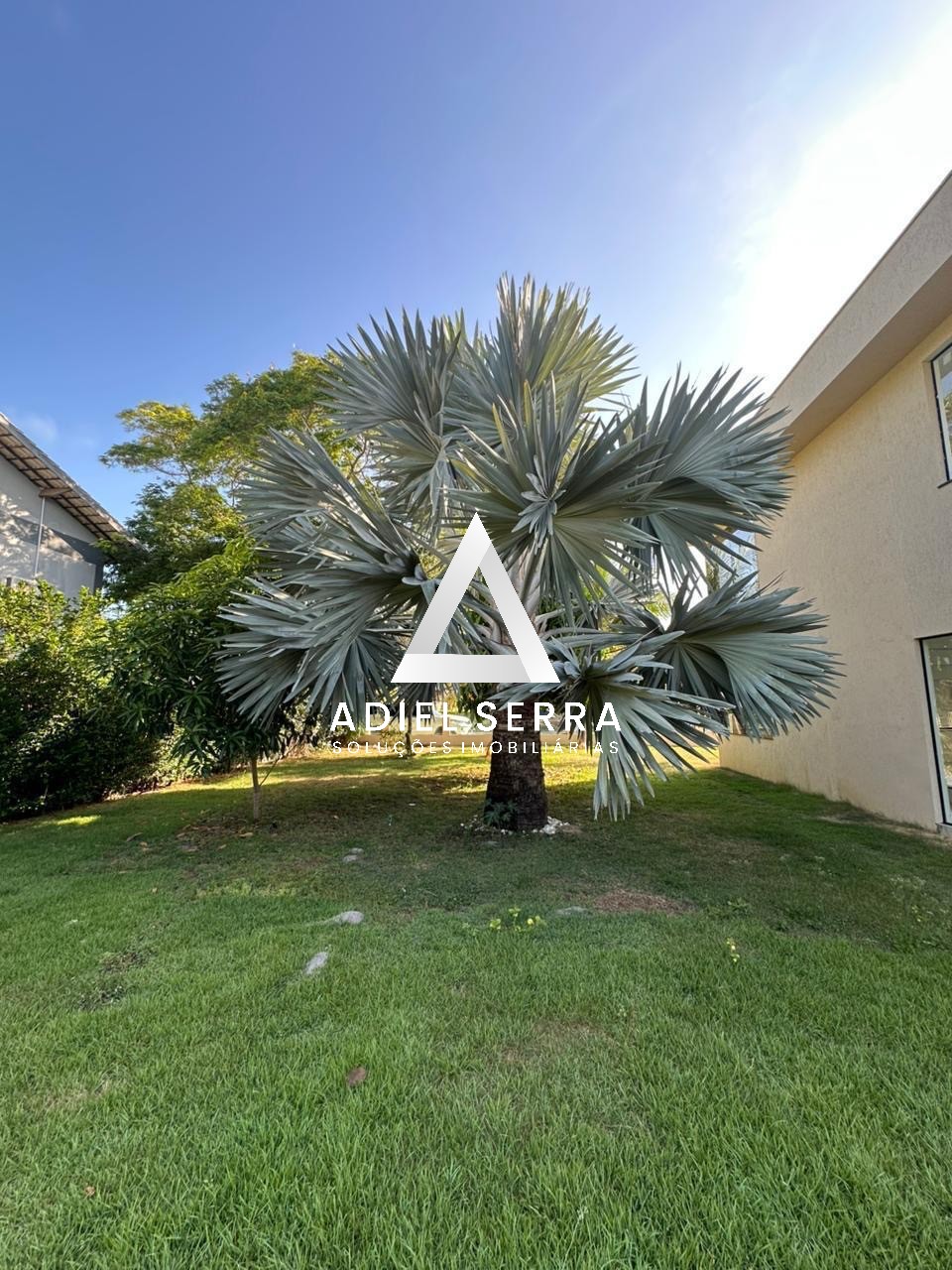 Casa - Busca vida (abrantes)