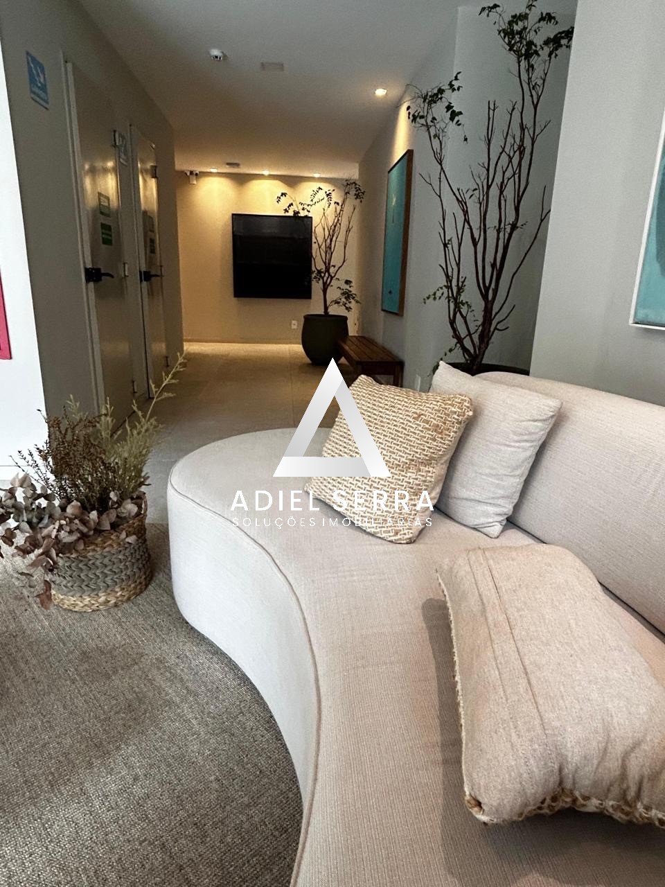 Apartamento - Barra