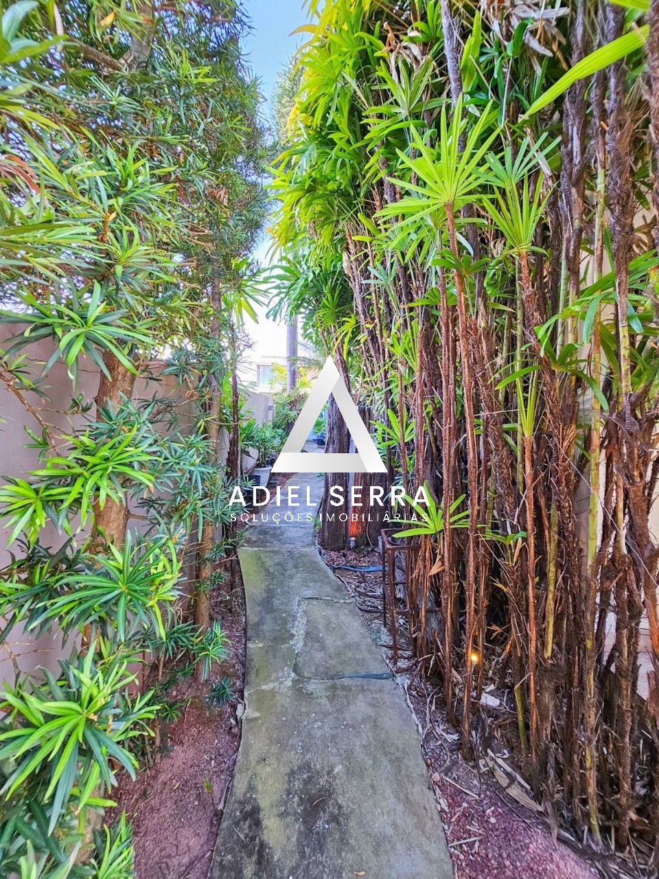 Casa - Alphaville ii