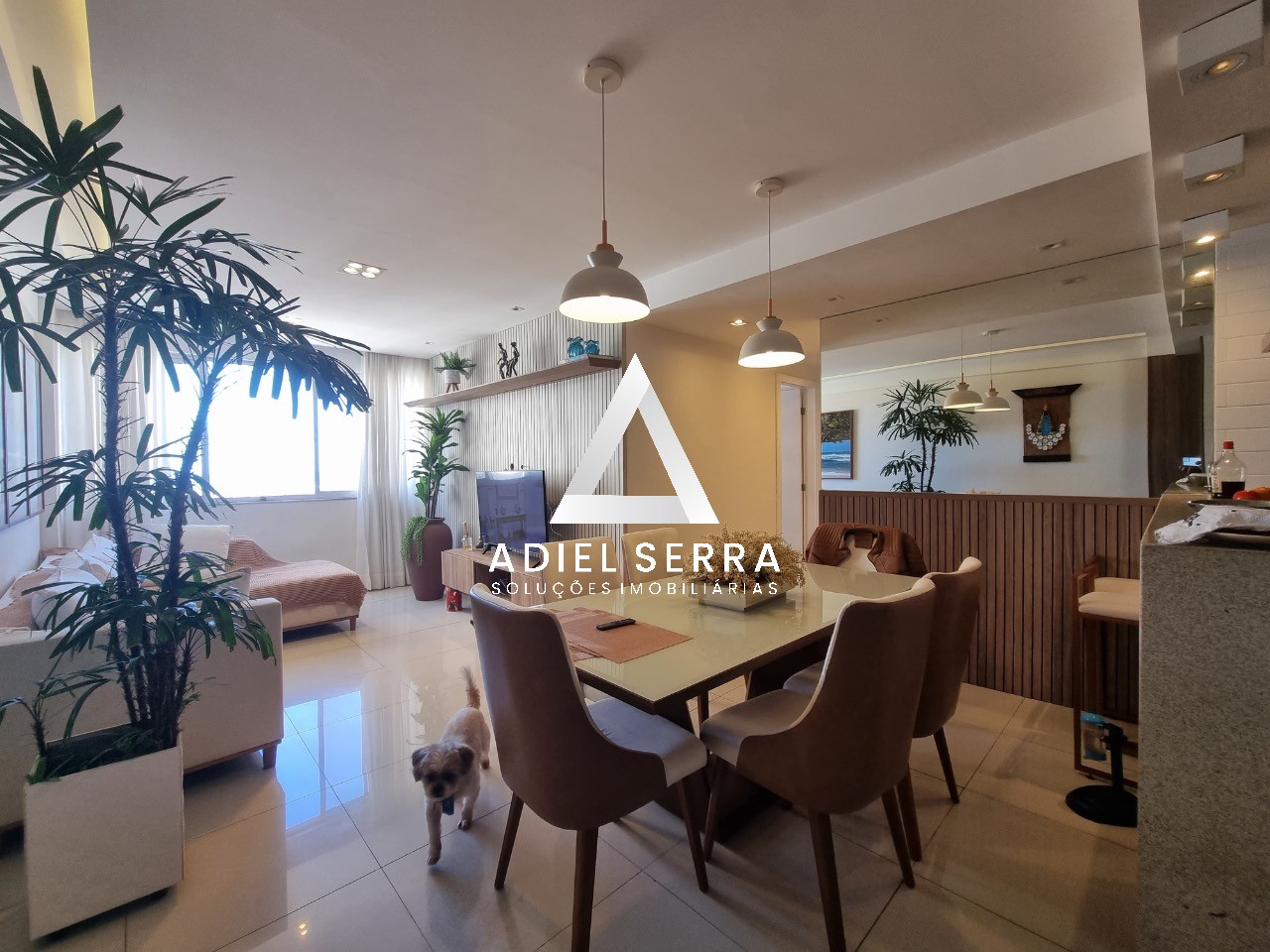 Apartamento - Imbuí