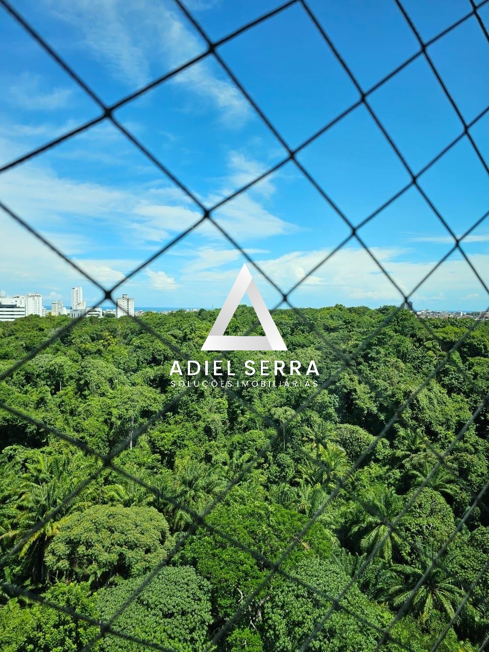 Apartamento - Pituba