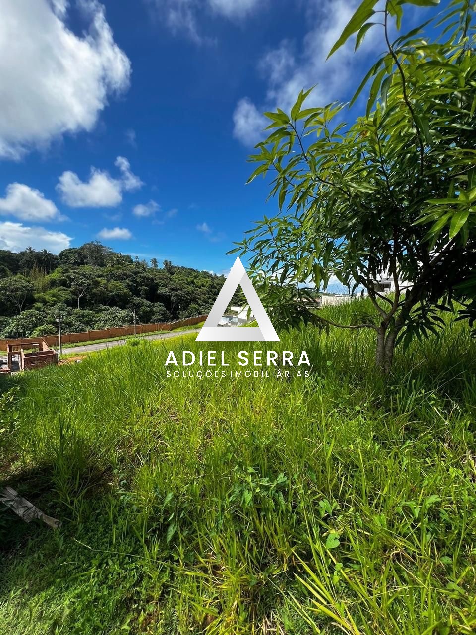 Terreno - Alphaville