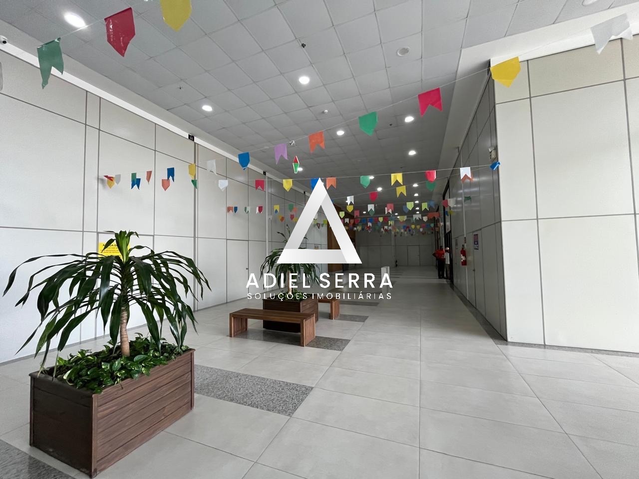 Apartamento - Centro