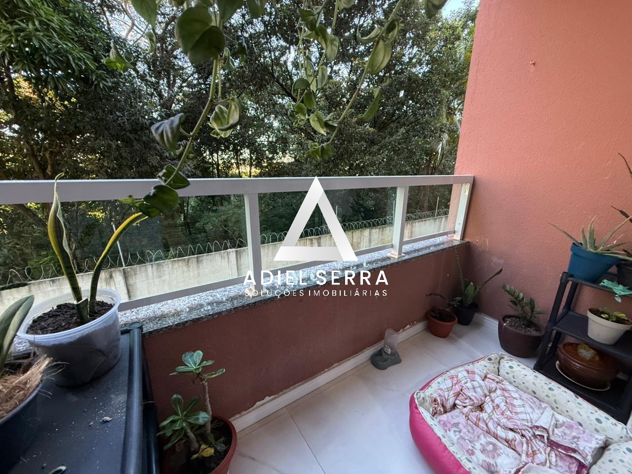 Apartamento - Itapuã