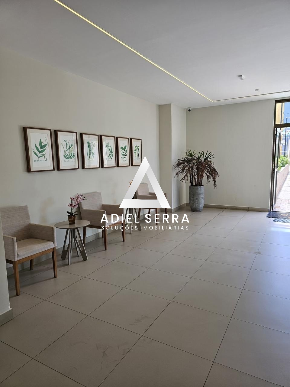 Apartamento - Parque bela vista