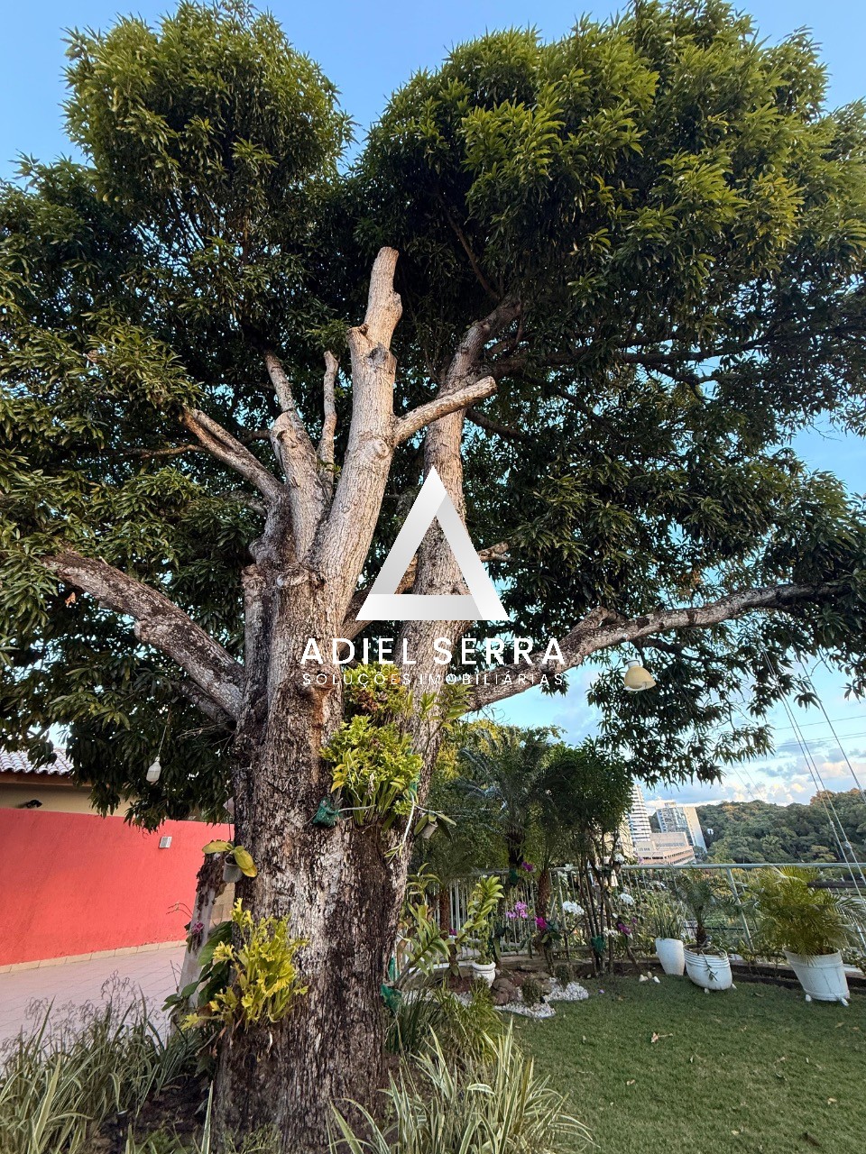 Casa - Itaigara