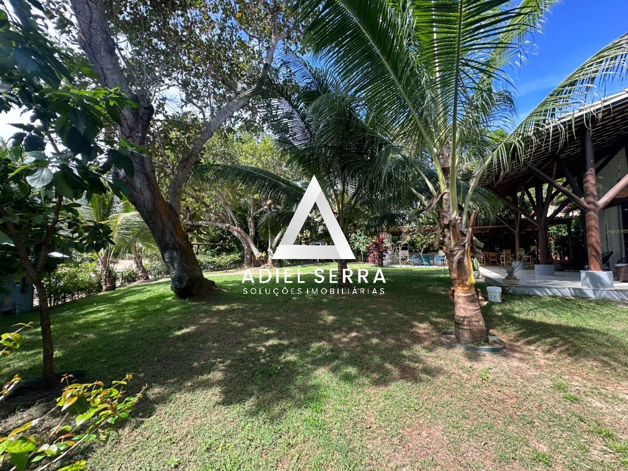 Casa - Busca vida