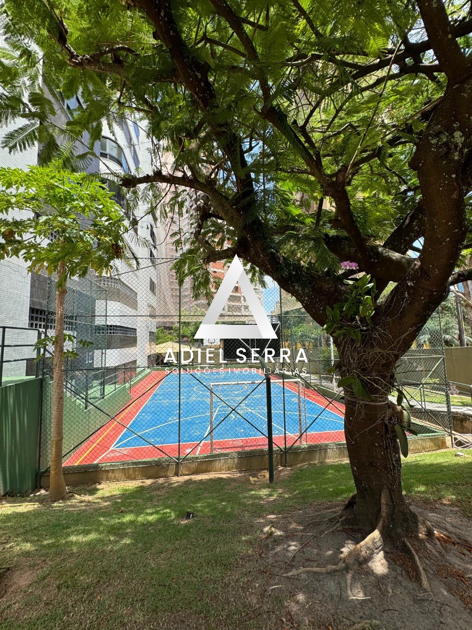 Apartamento - Pituba