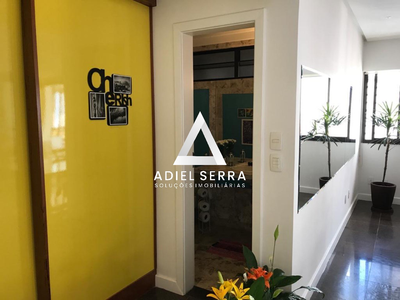 Cobertura  - Caminho das árvores