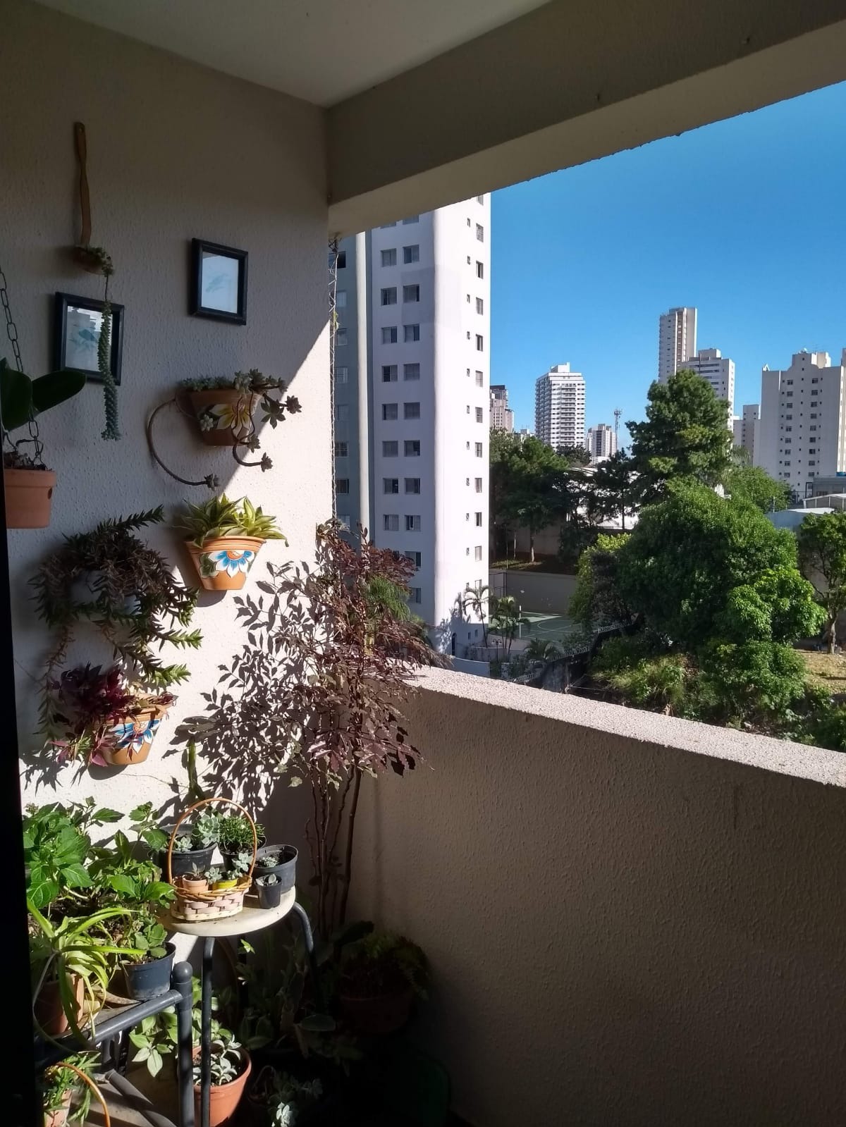 Apartamento à venda com 3 quartos, 71m² - Foto 14