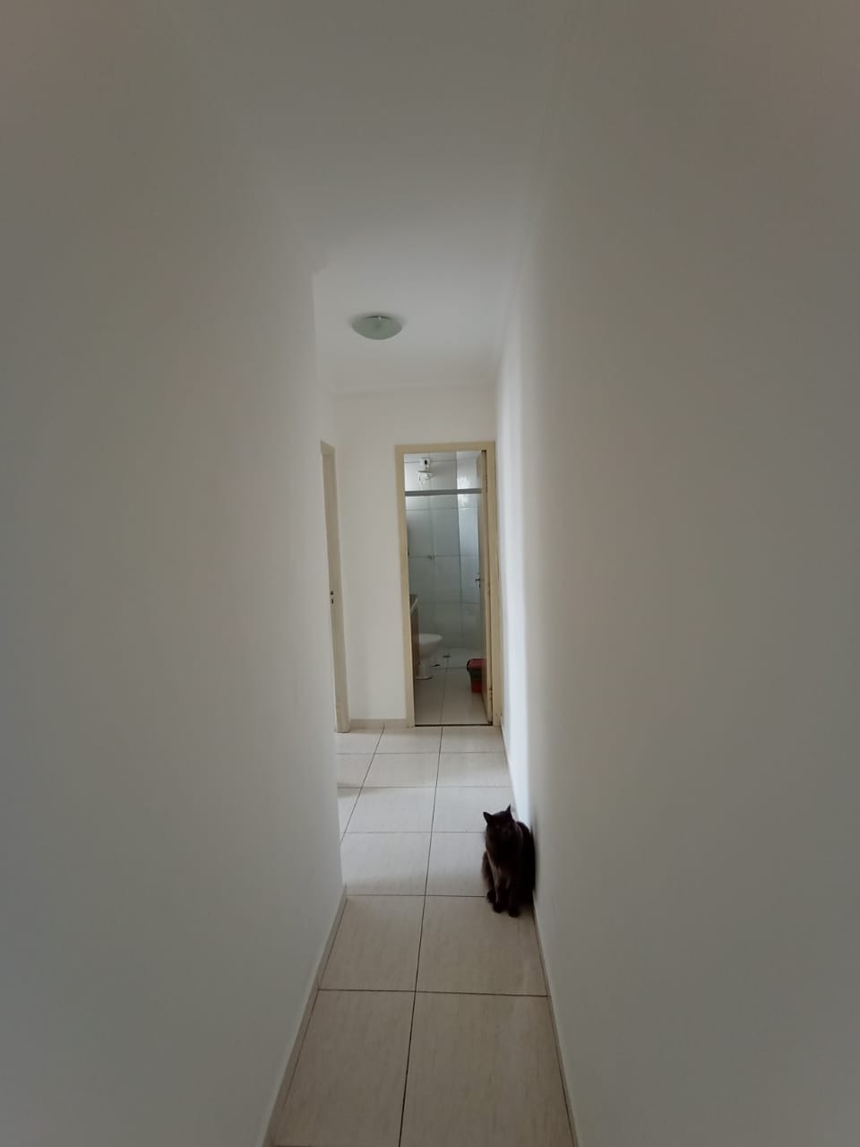 Apartamento à venda com 2 quartos, 70m² - Foto 10