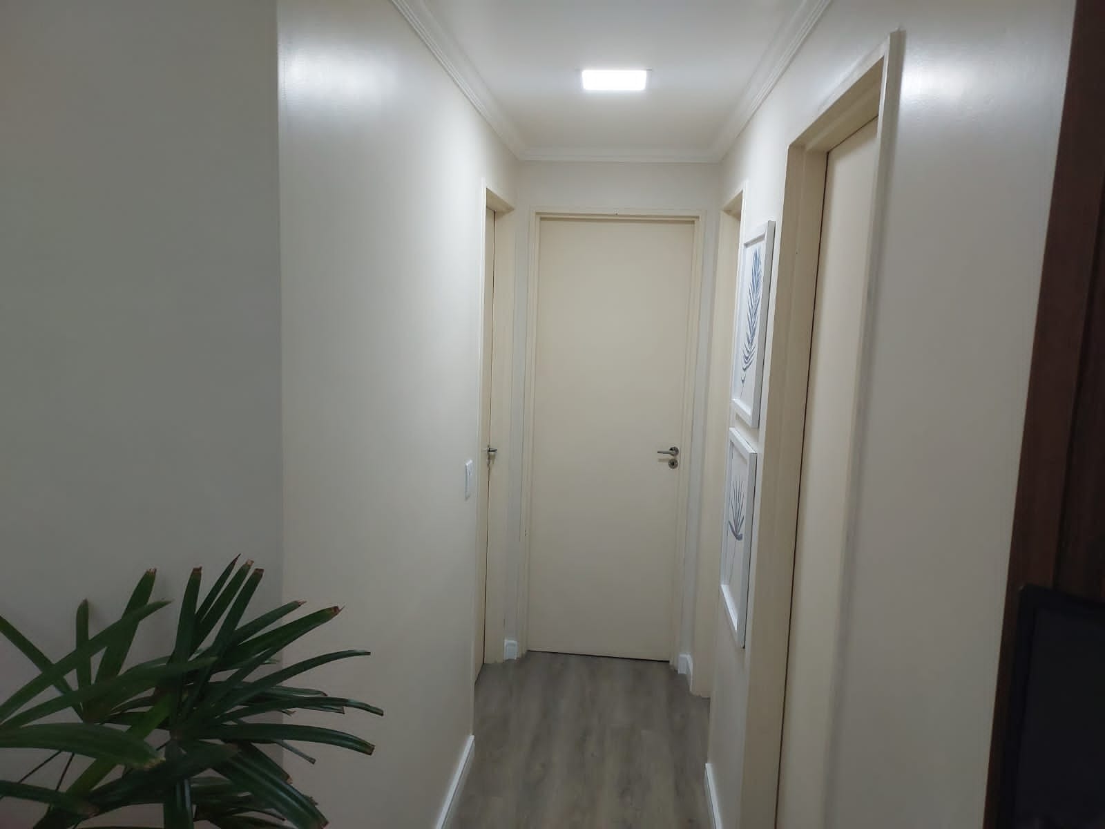 Apartamento à venda com 3 quartos, 62m² - Foto 19