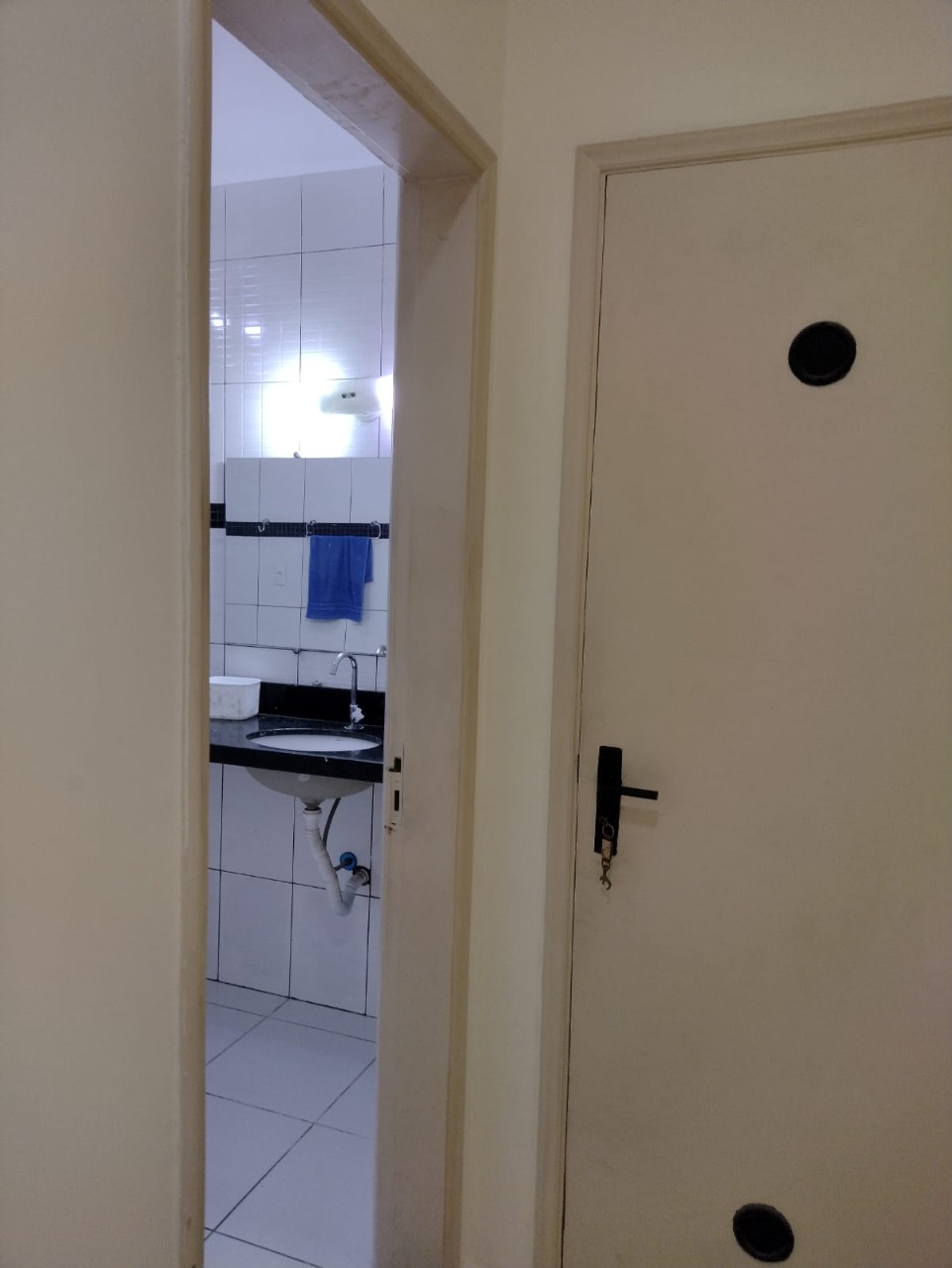 Apartamento à venda com 3 quartos, 86m² - Foto 19