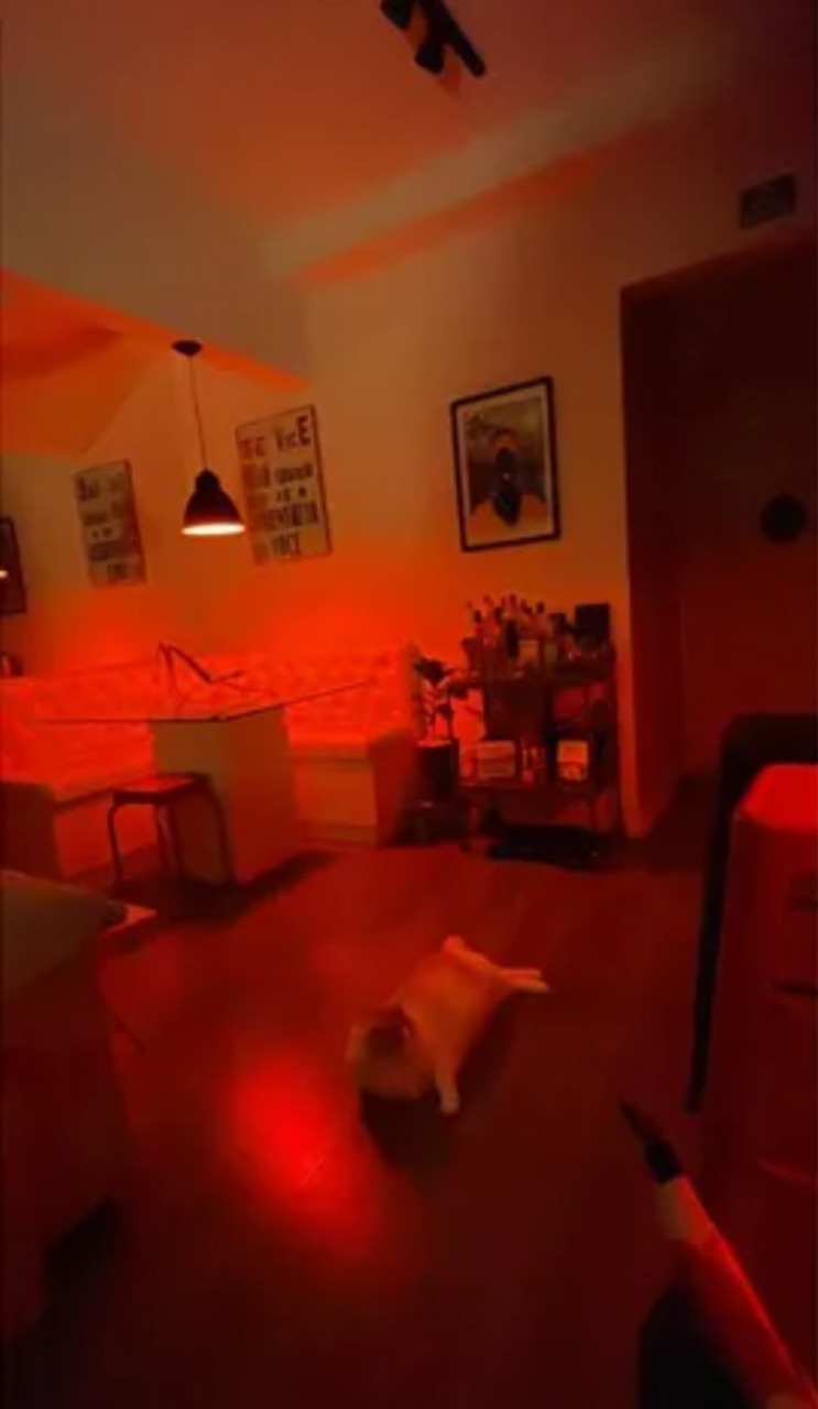 Apartamento, 2 quartos, 52 m² - Foto 3