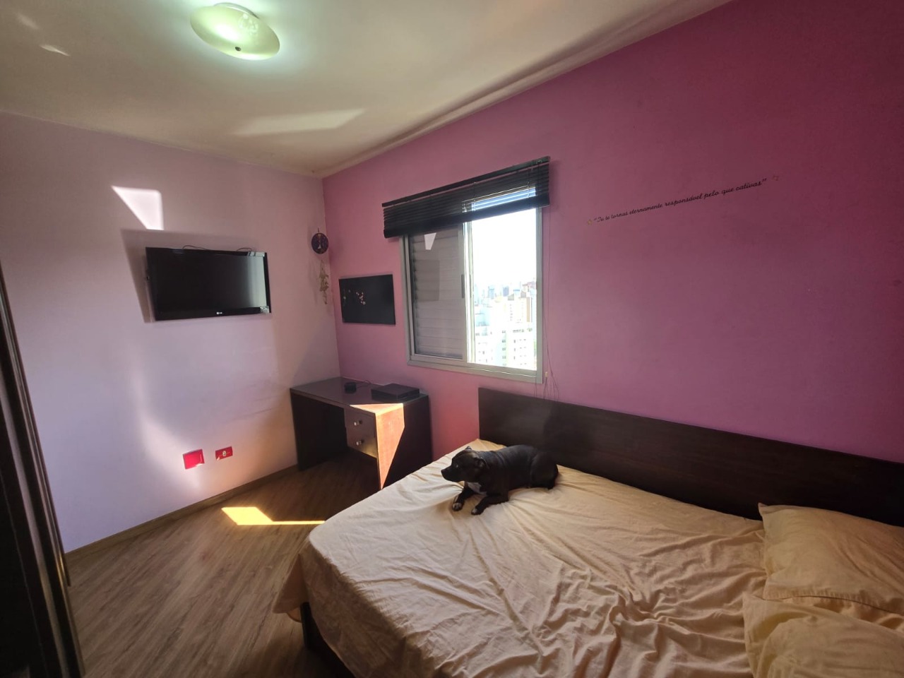 Apartamento à venda com 3 quartos, 78m² - Foto 23