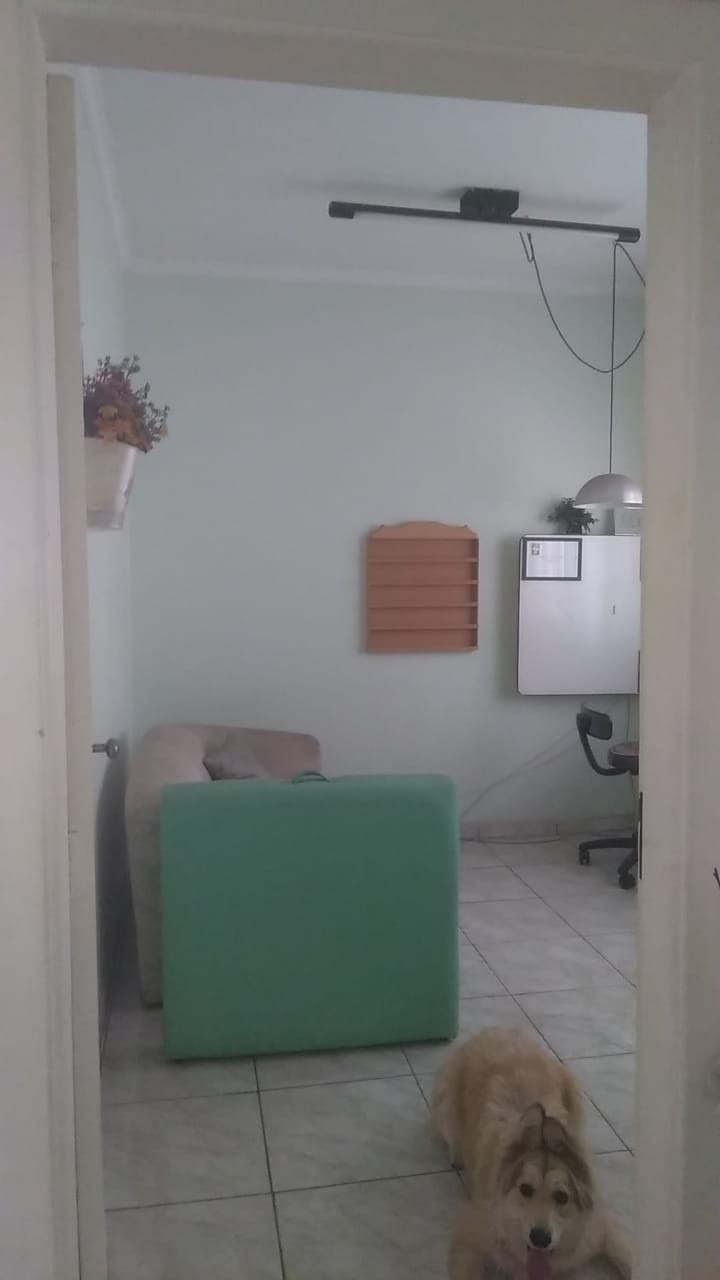 Apartamento à venda com 6 quartos, 260m² - Foto 7