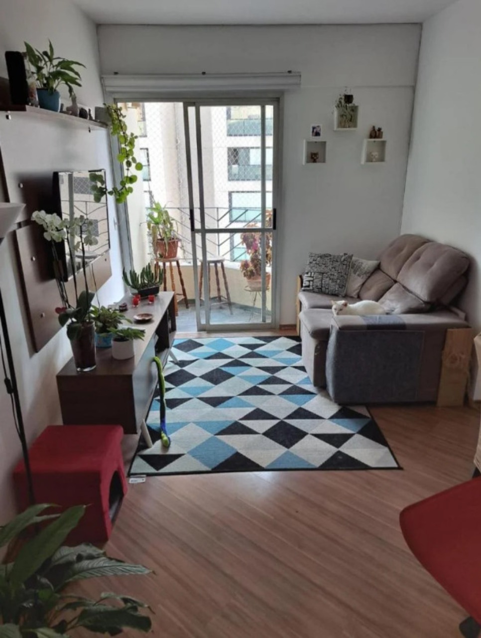 Apartamento à venda com 2 quartos, 51m² - Foto 2