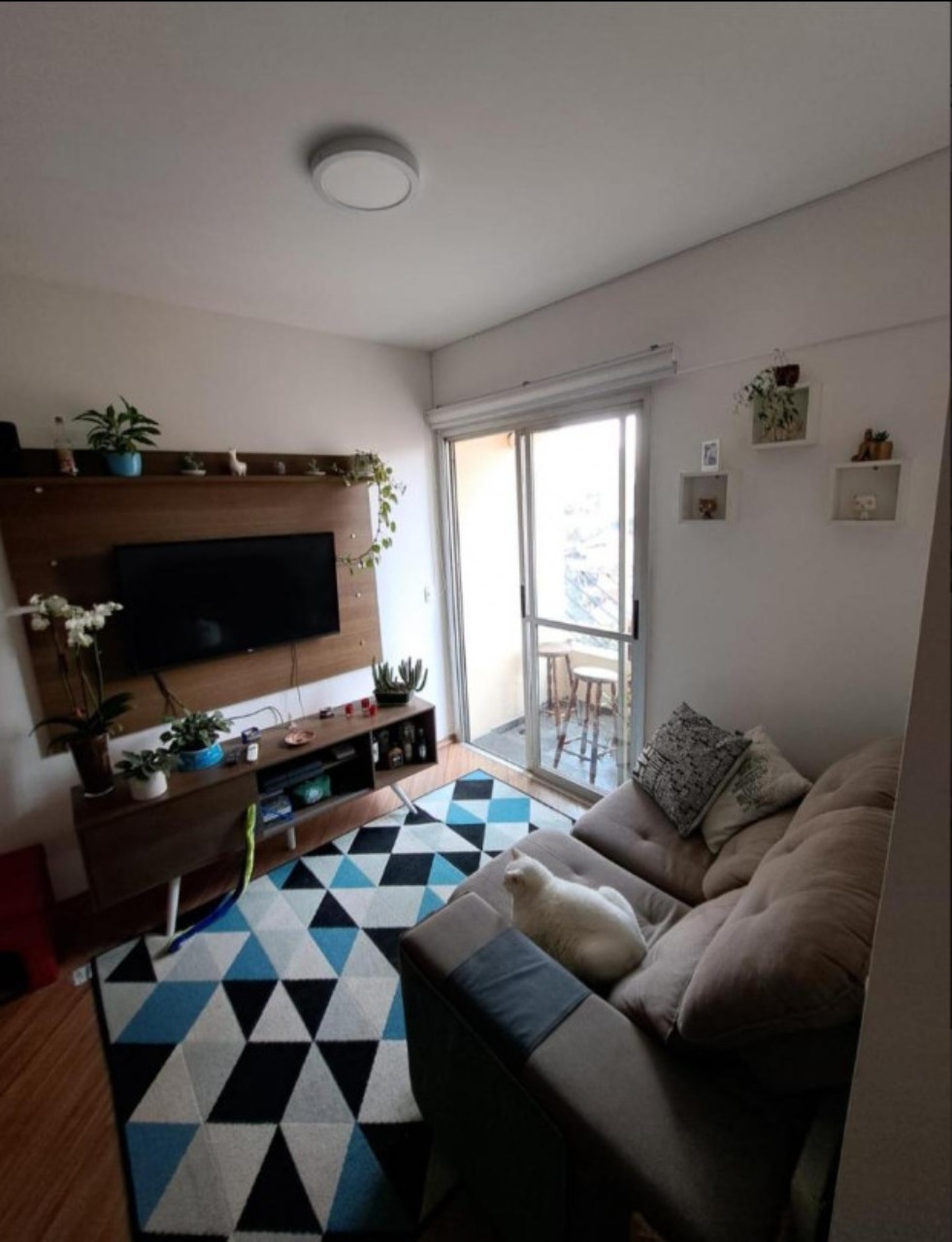 Apartamento à venda com 2 quartos, 51m² - Foto 15