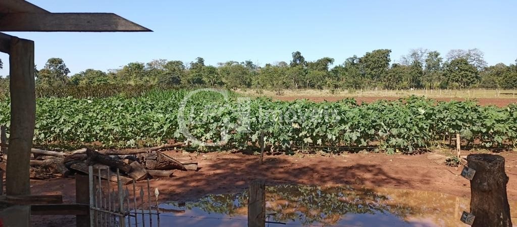 Chácara à venda com 5 quartos, 60000m² - Foto 13