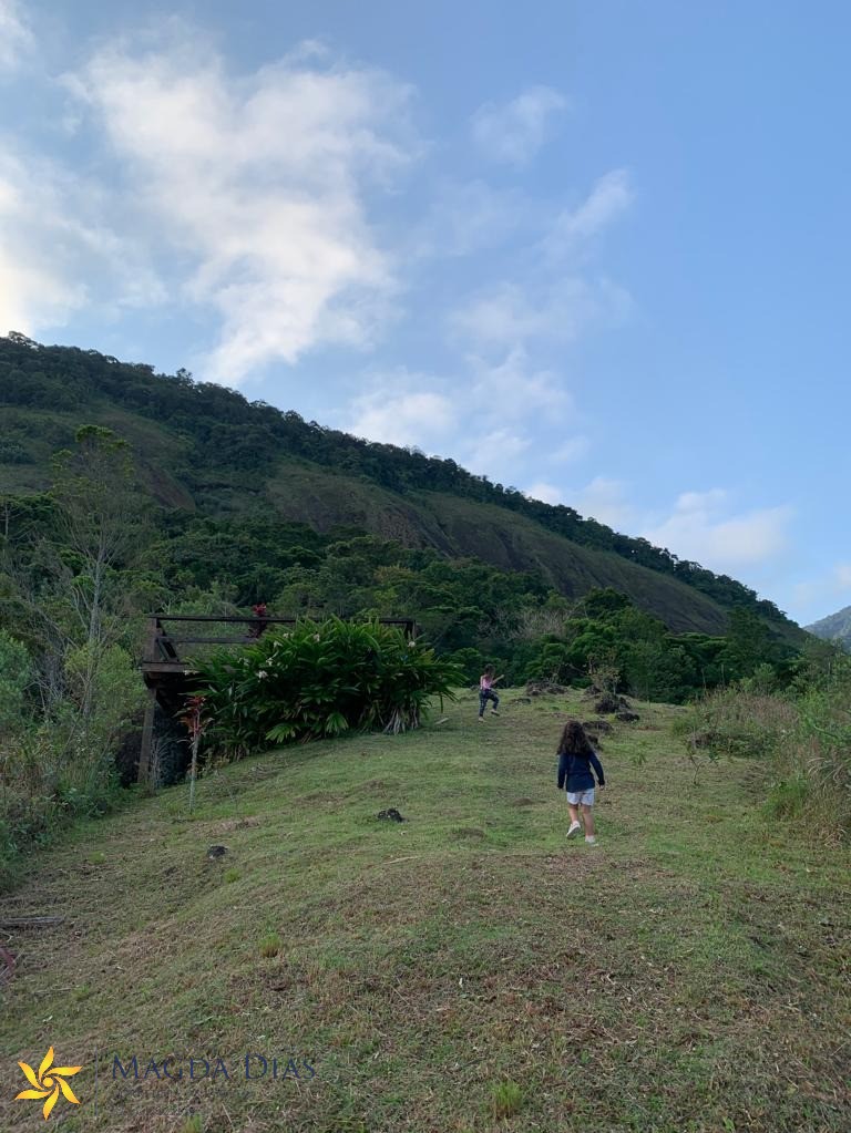 Terreno à venda, 11400m² - Foto 8