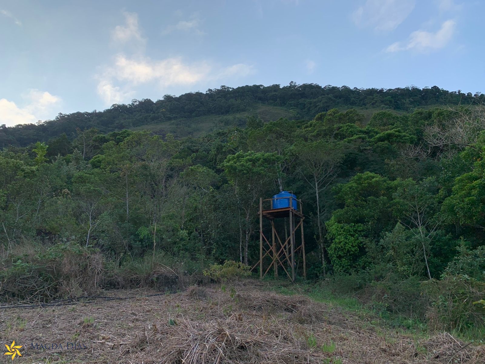 Terreno à venda, 11400m² - Foto 9