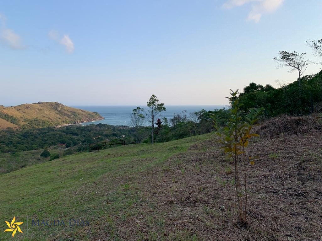 Terreno à venda, 11400m² - Foto 1