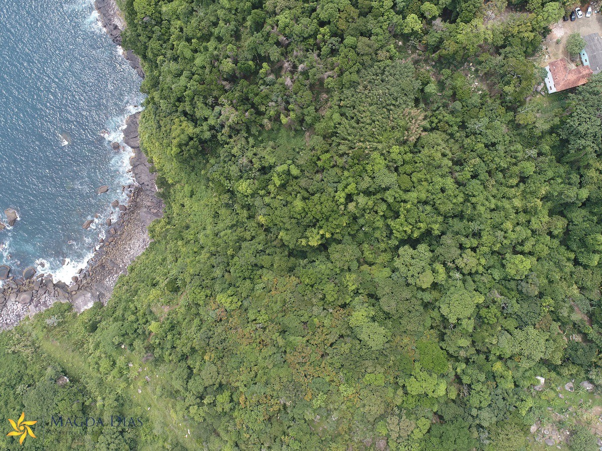 Terreno à venda, 46000m² - Foto 6