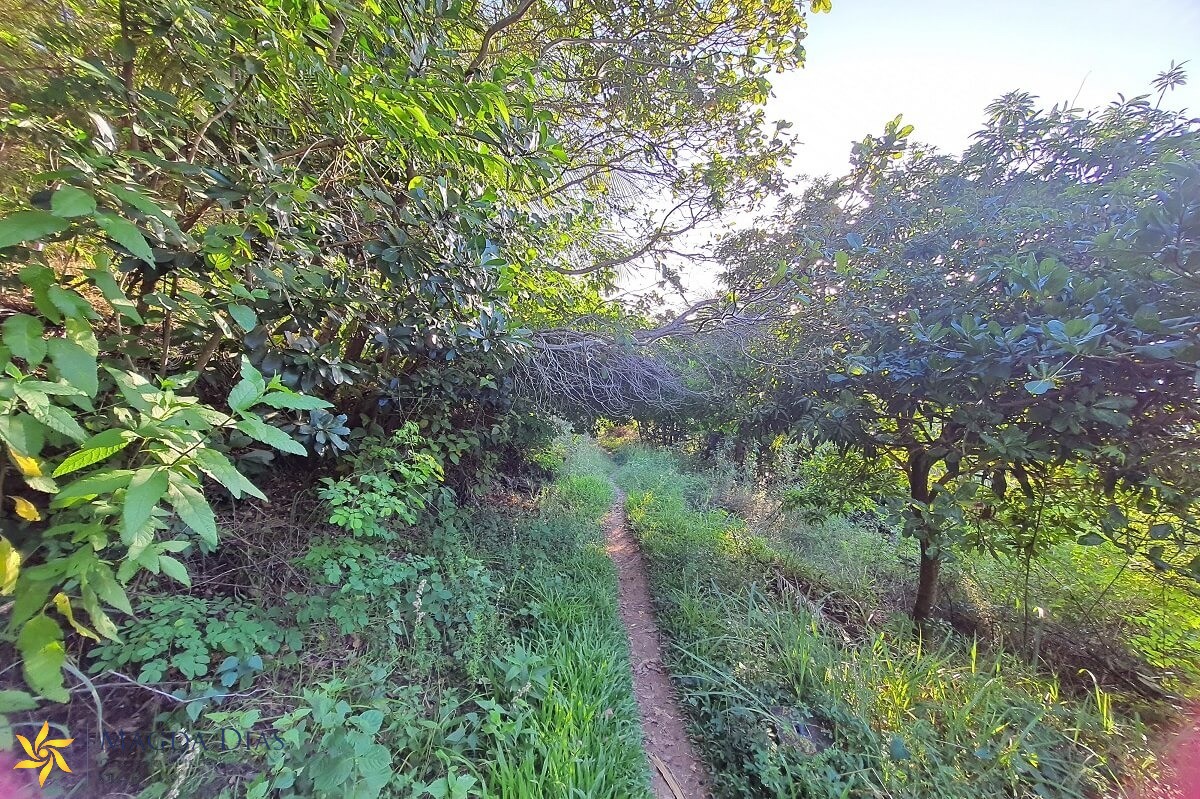 Terreno à venda, 9664m² - Foto 13