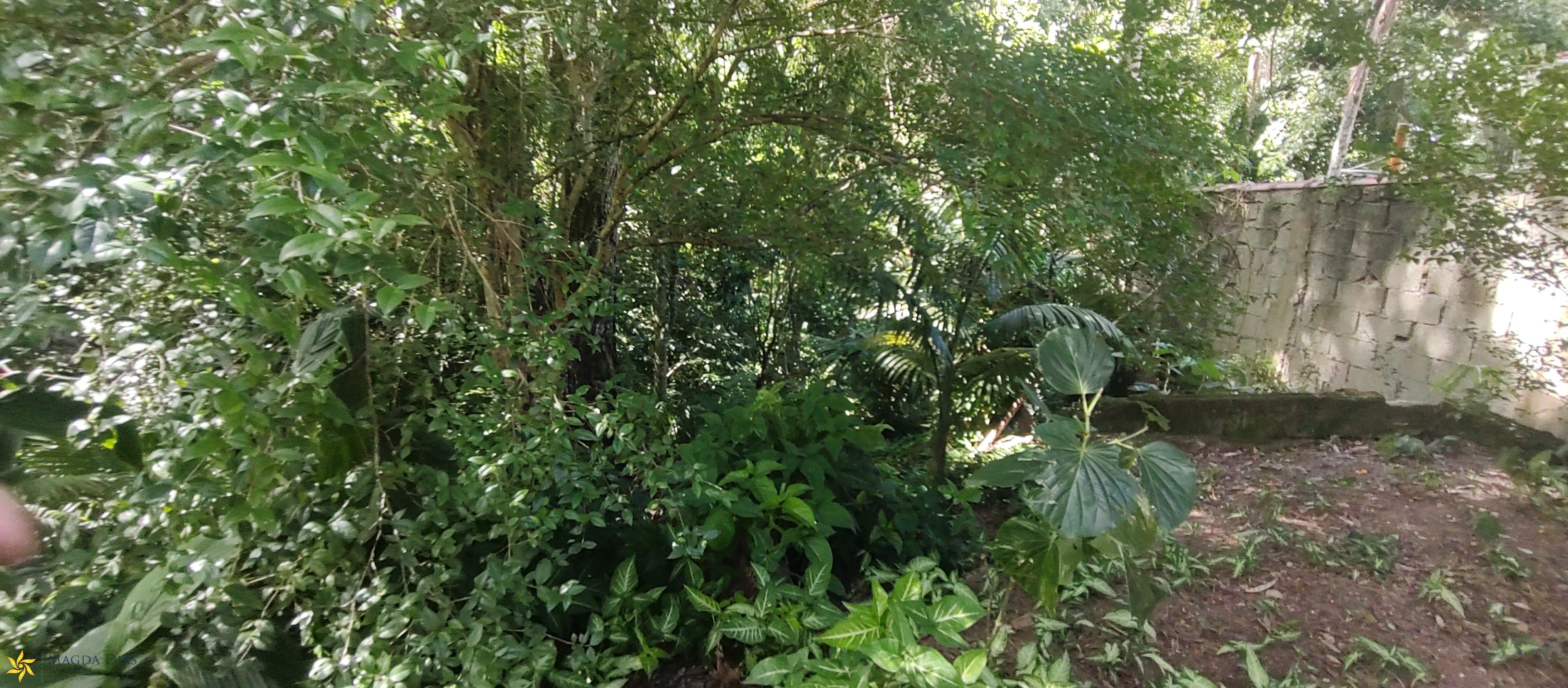 Terreno, 1200 m² - Foto 13