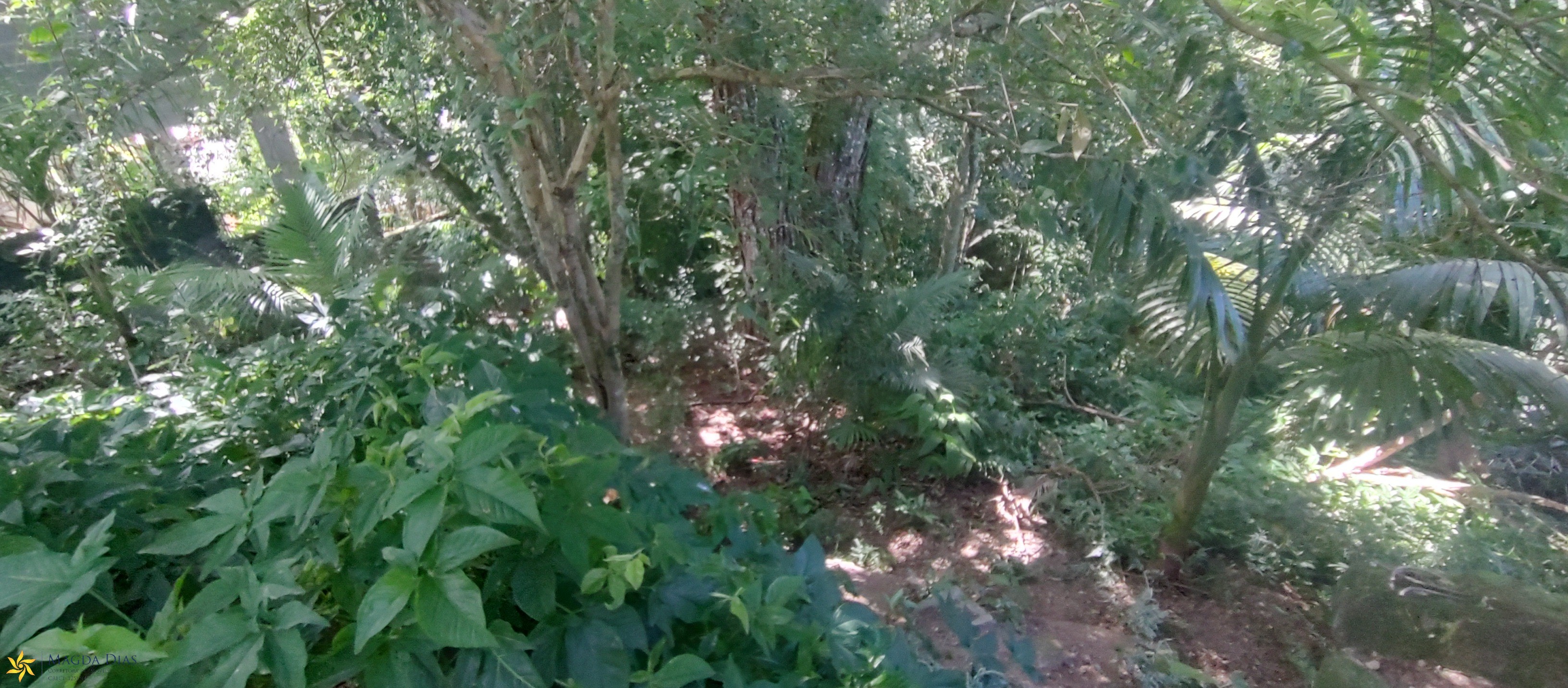 Terreno, 1200 m² - Foto 15