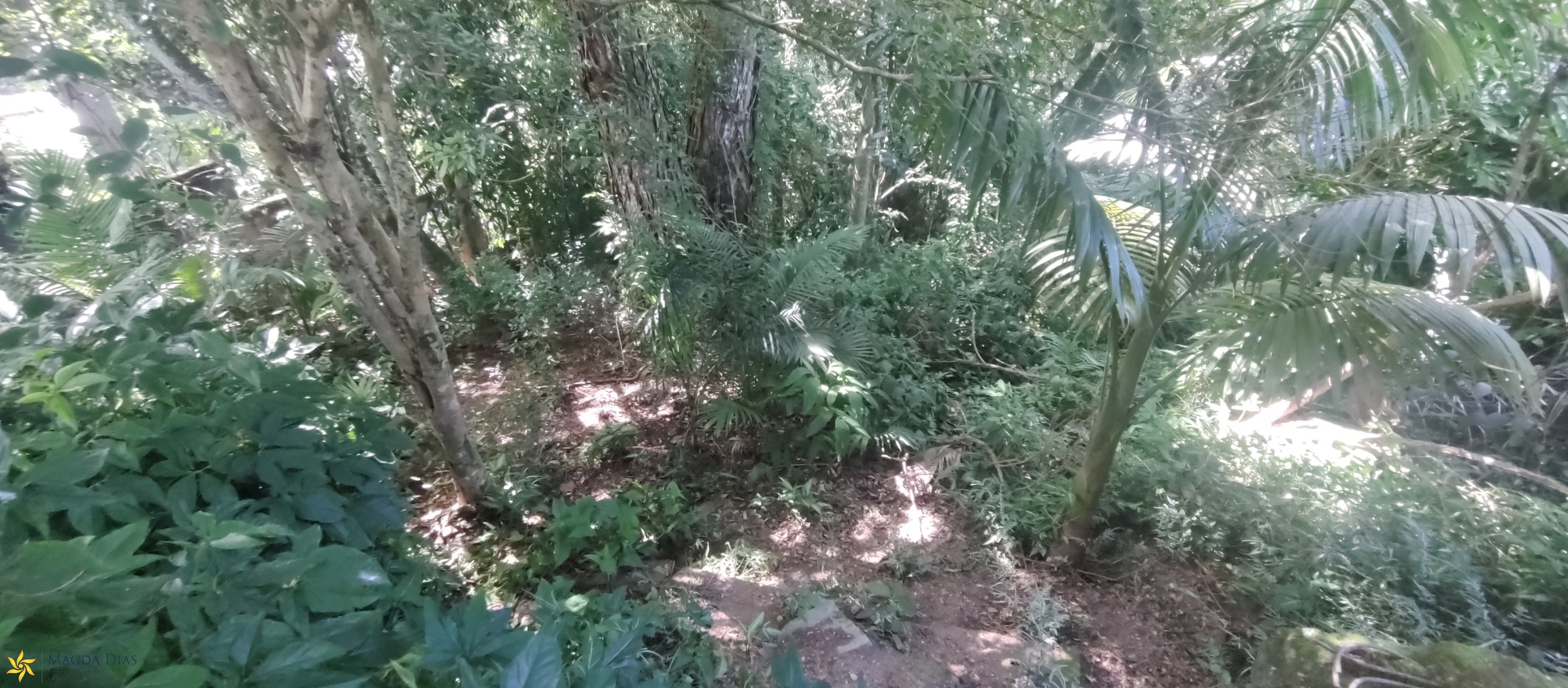 Terreno, 1200 m² - Foto 14