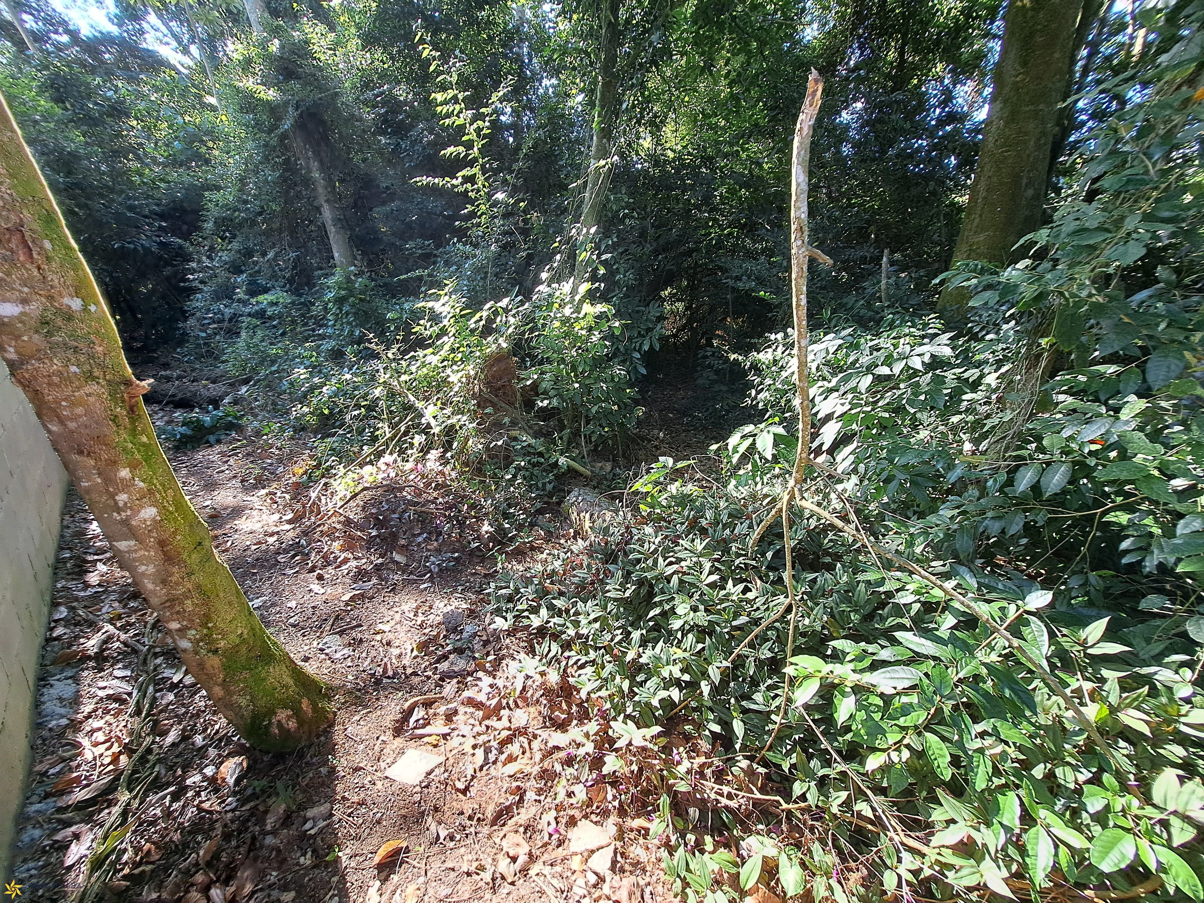Terreno, 1250 m² - Foto 4