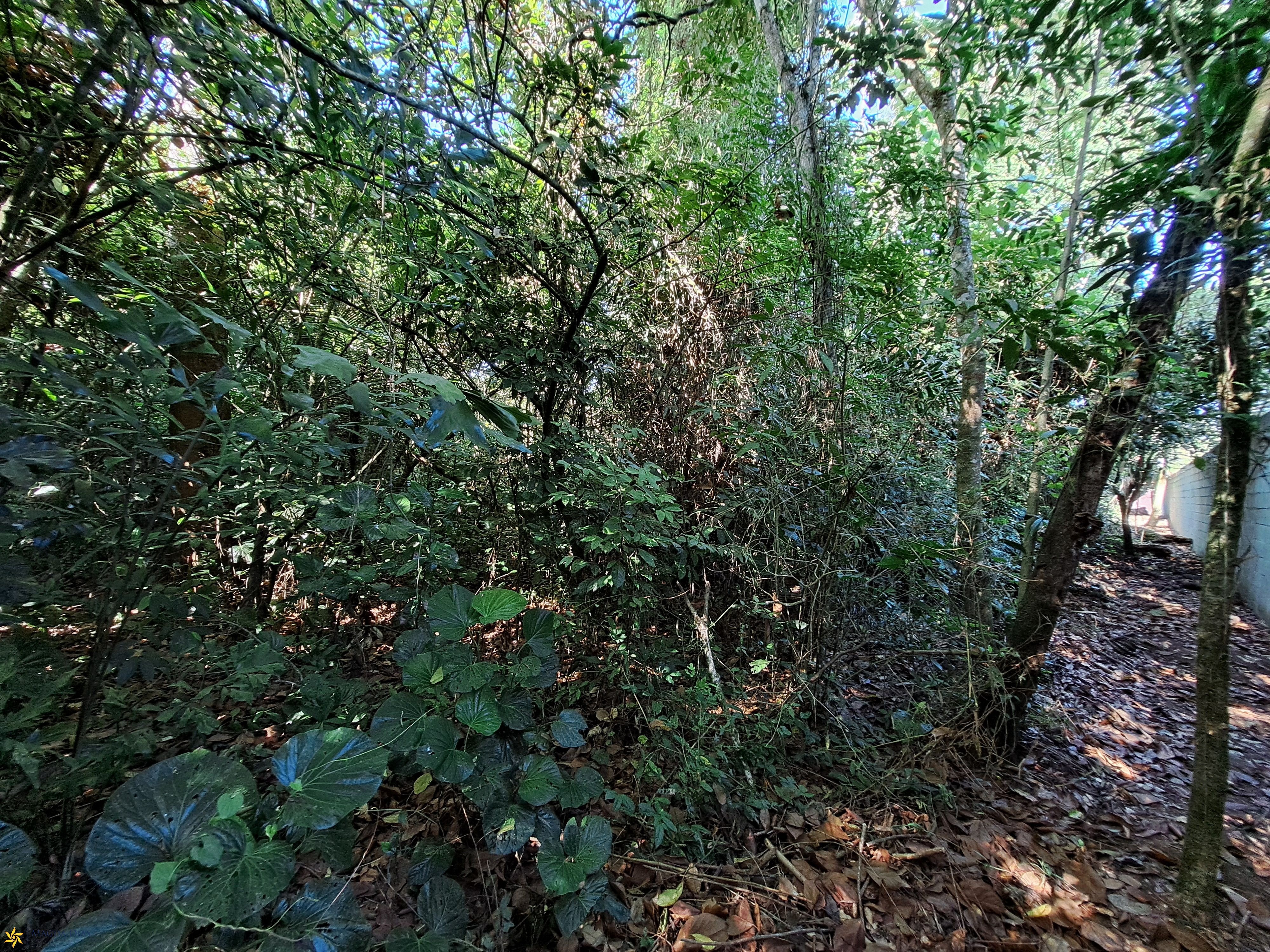 Terreno, 1250 m² - Foto 13