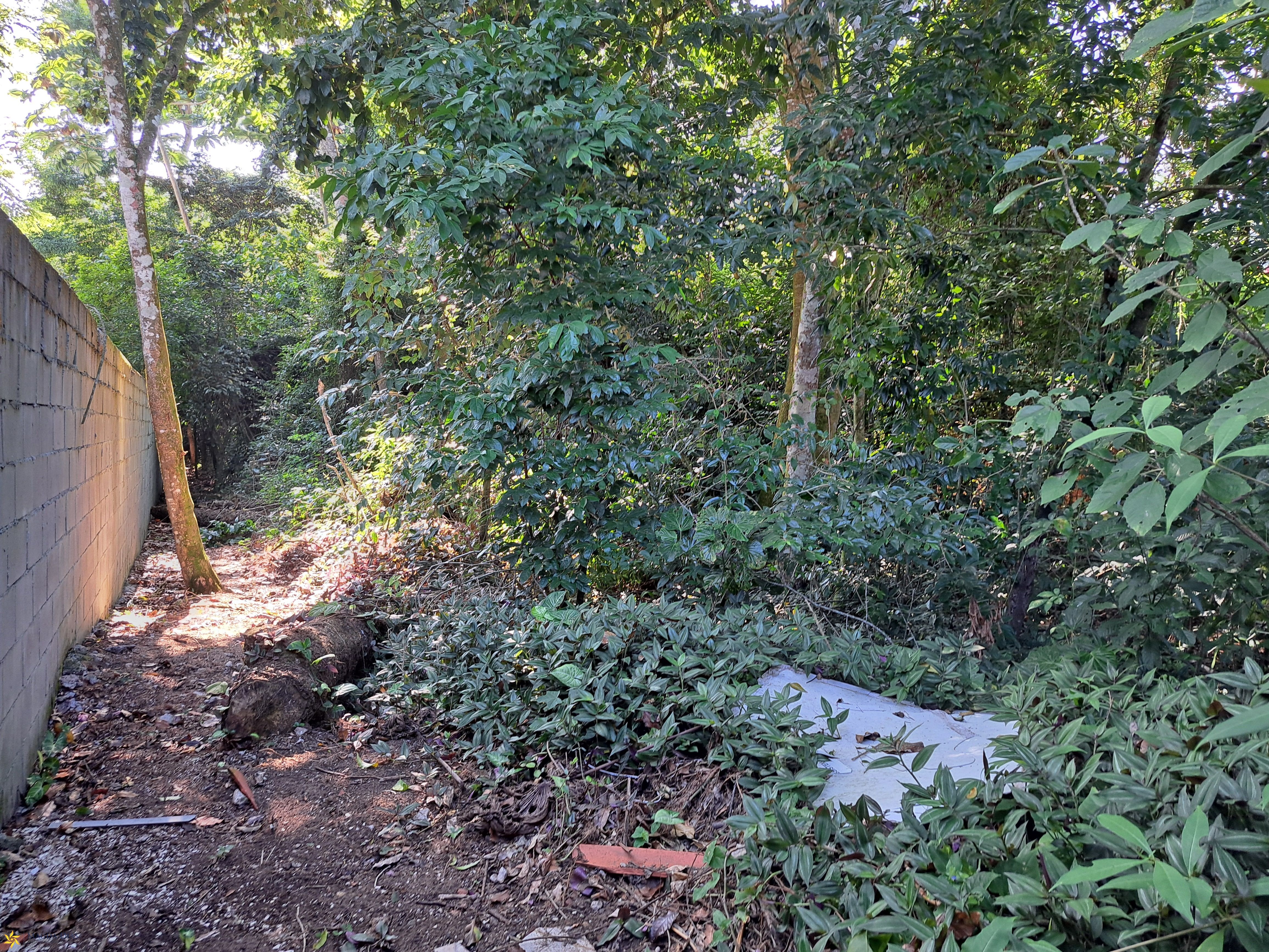 Terreno, 1250 m² - Foto 3
