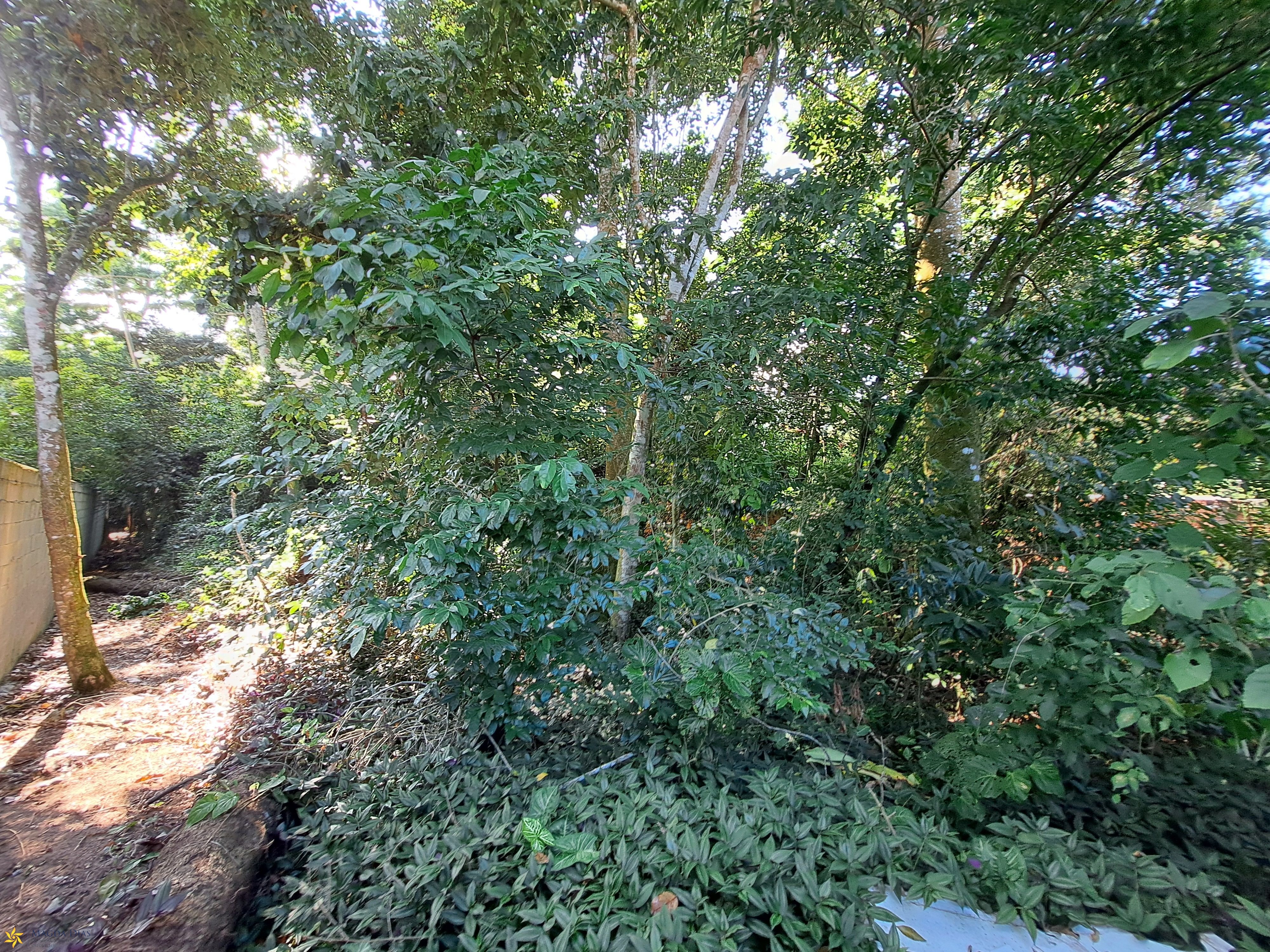 Terreno, 1250 m² - Foto 16
