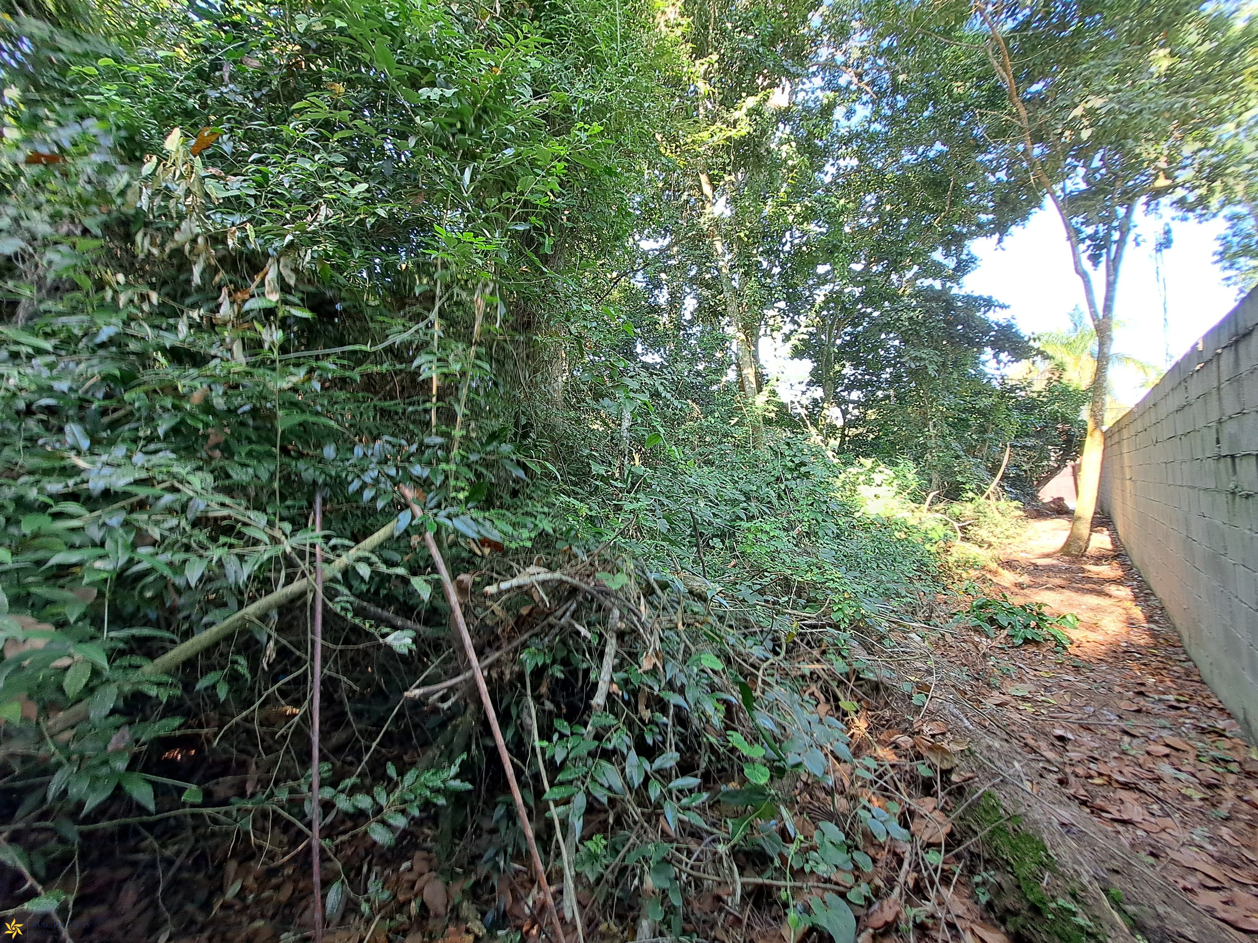 Terreno, 575 m² - Foto 9