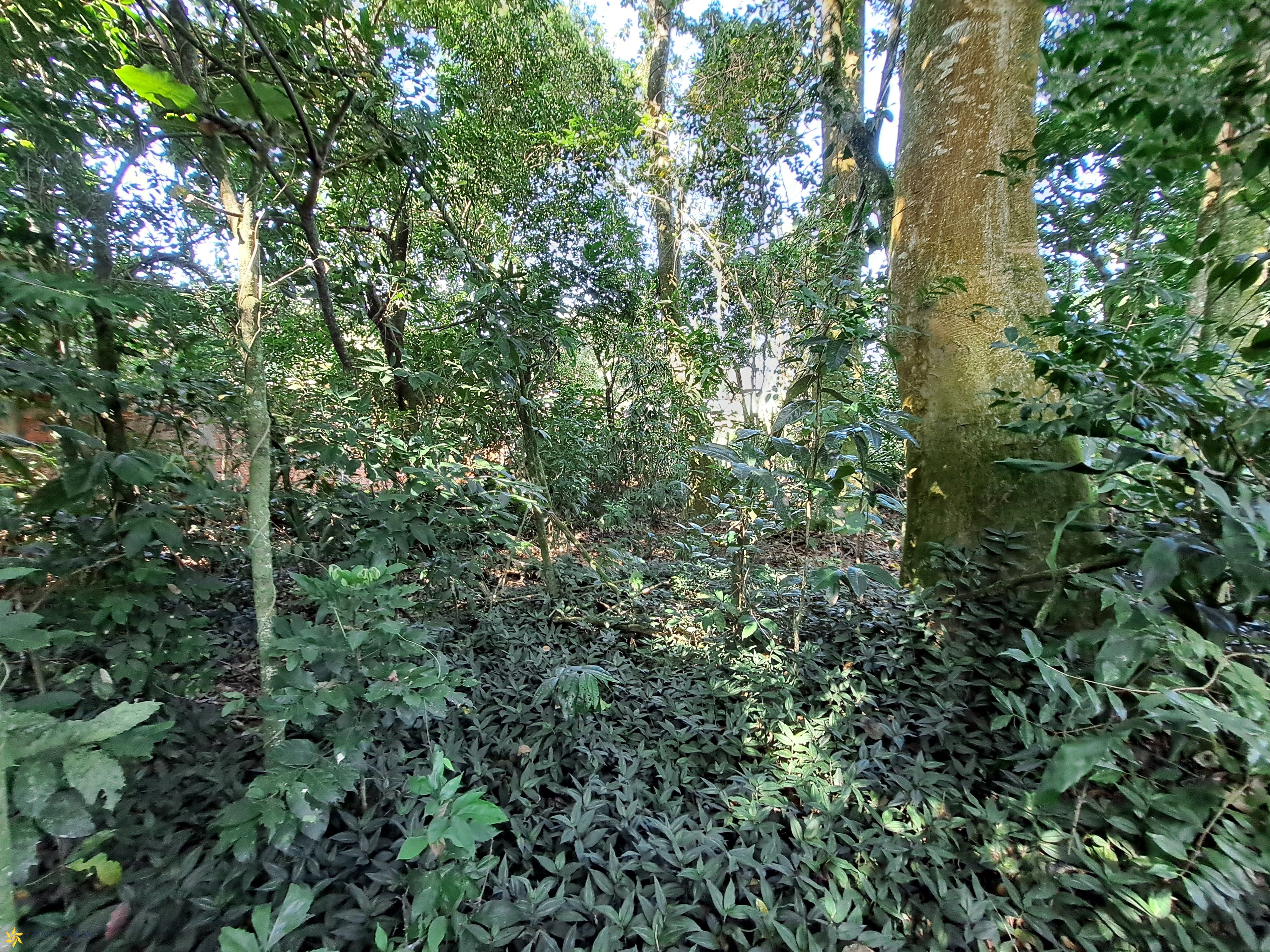 Terreno, 1250 m² - Foto 6