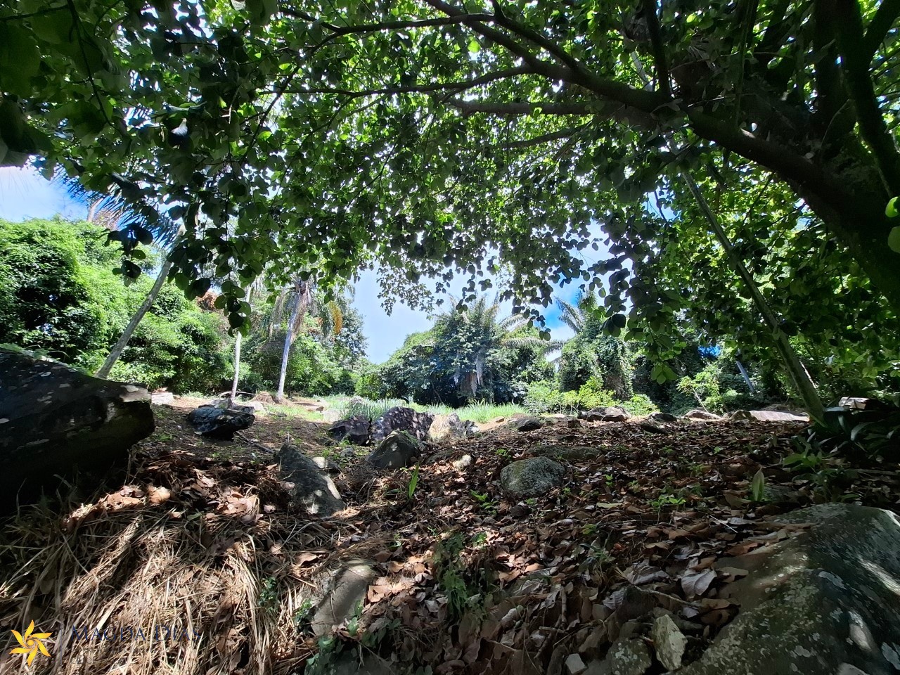 Terreno, 2440 m² - Foto 33