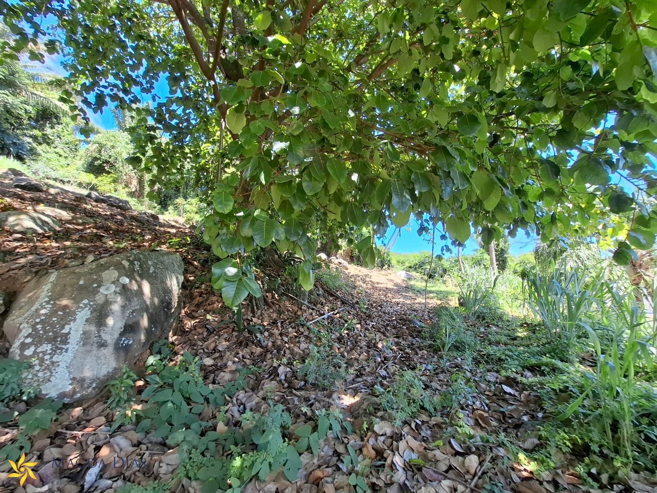 Terreno, 2440 m² - Foto 8