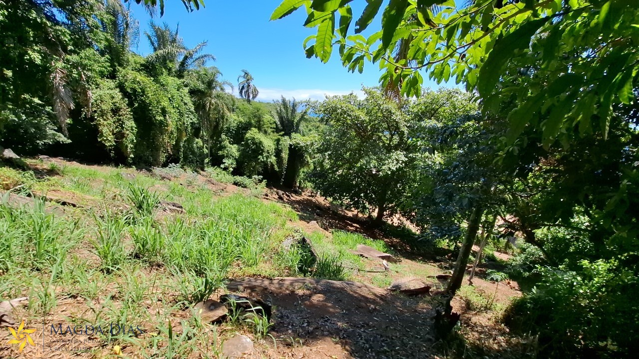 Terreno, 2440 m² - Foto 19