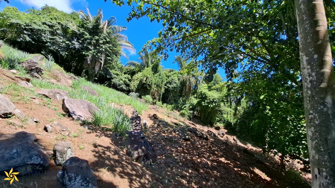 Terreno, 2440 m² - Foto 24
