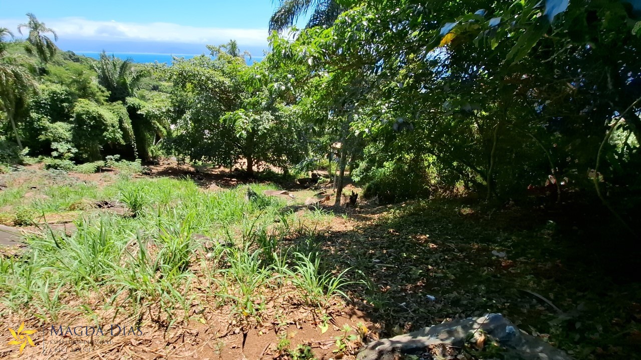 Terreno, 2440 m² - Foto 17