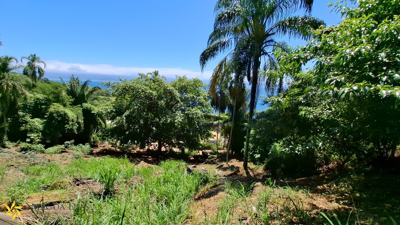 Terreno, 2440 m² - Foto 12
