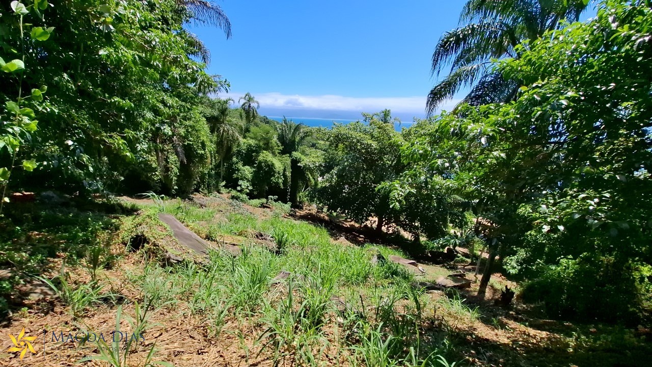 Terreno, 2440 m² - Foto 15