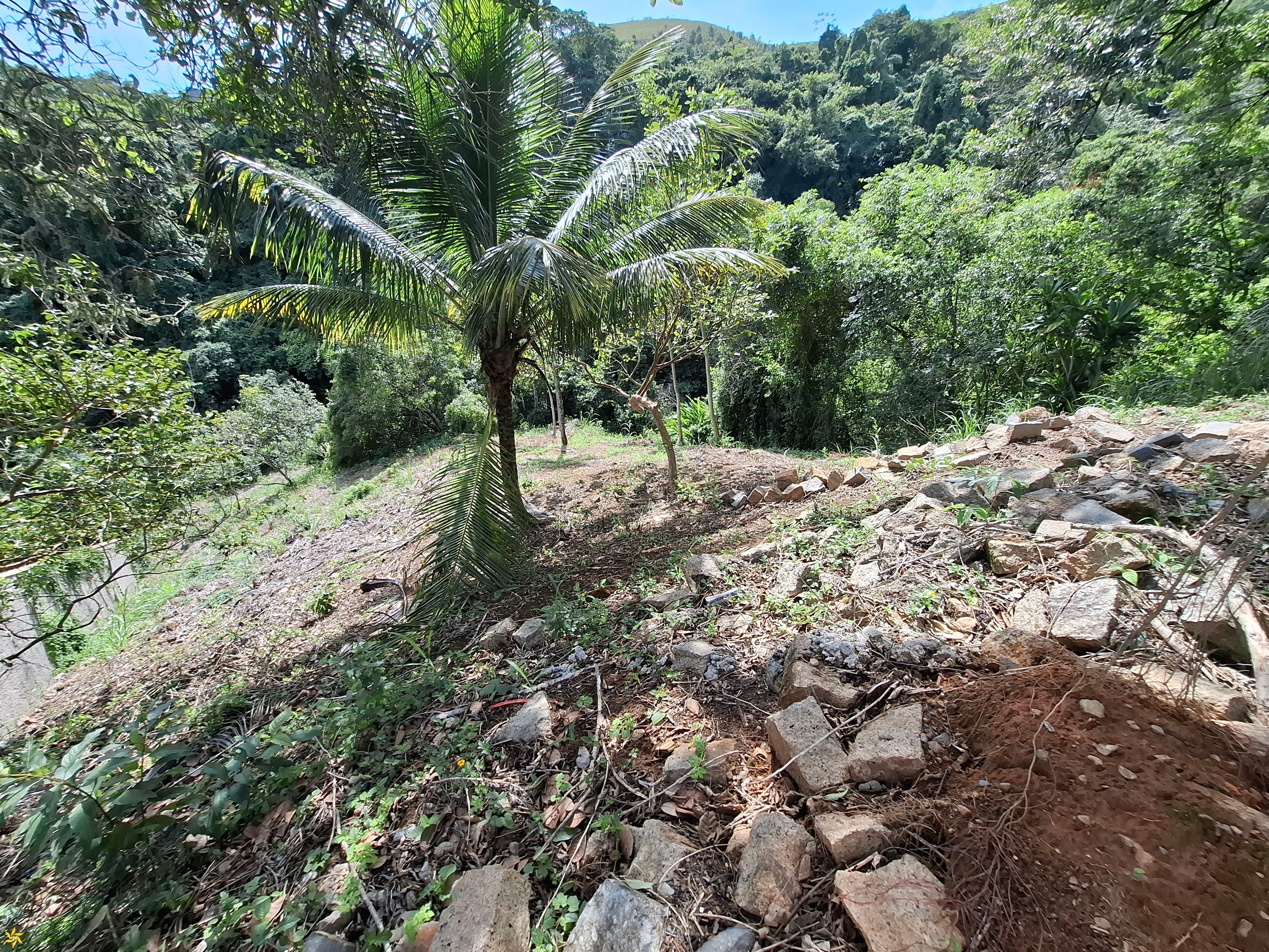 Terreno, 814 m² - Foto 6