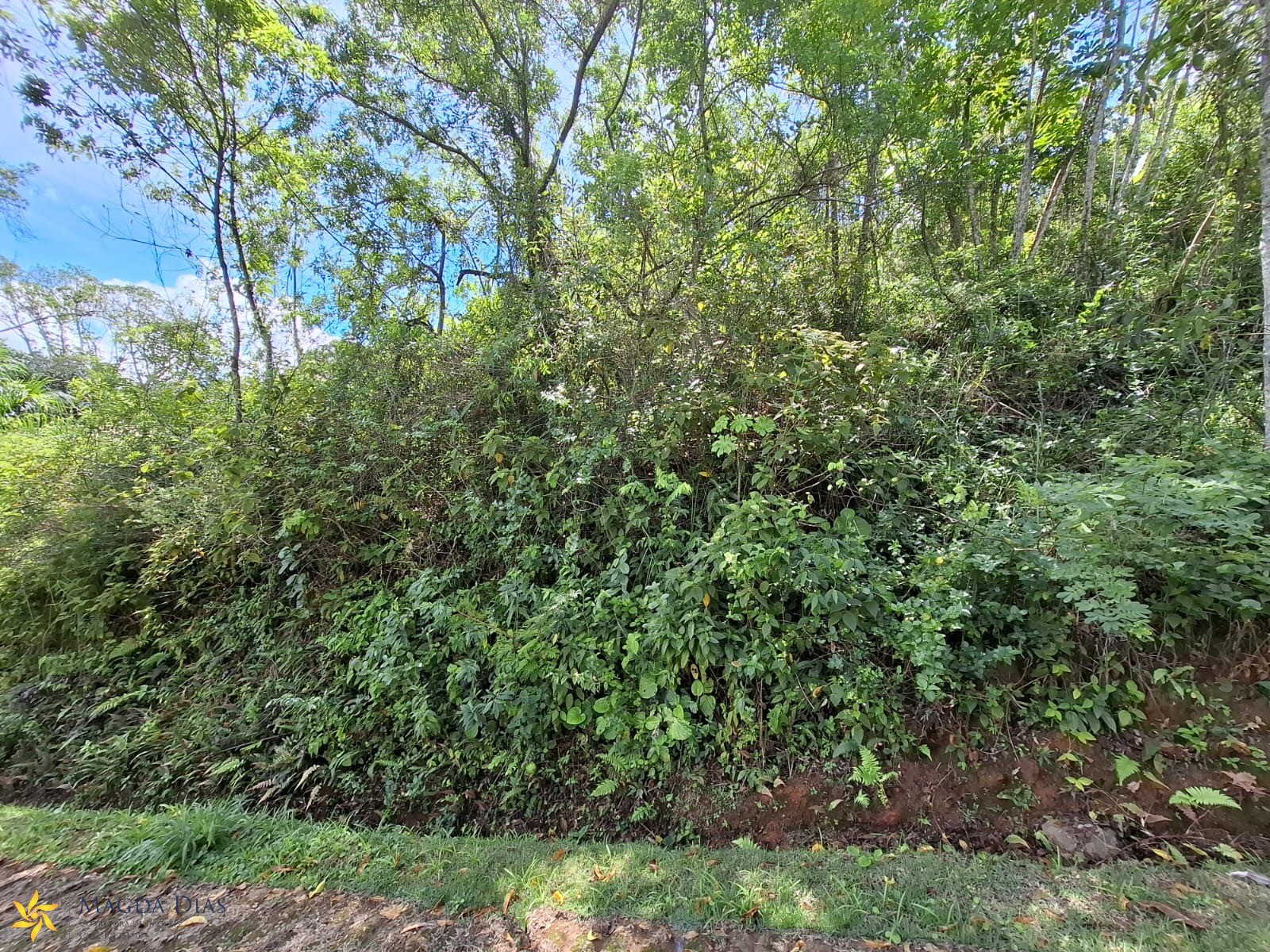 Terreno, 888 m² - Foto 21